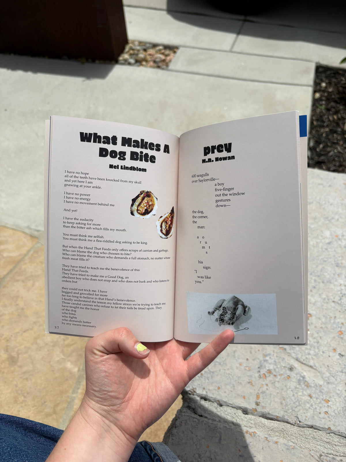 shifties volume 1 print edition